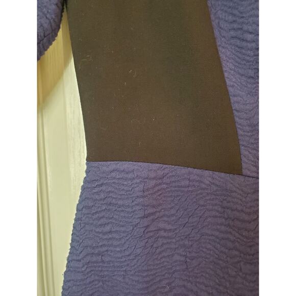 Sandro Paris Long Sleeve Dark Blue Black Crepe Color-Blocked Mini Dress, Size 8 - Picture 5 of 11